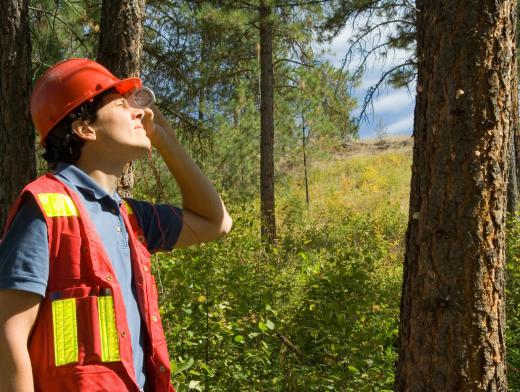 It's common for a GIS analyst to have a degree in forestry or survey engineering.