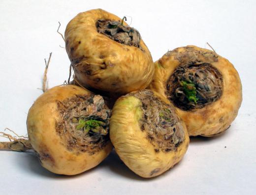 Peruvian maca looks like a turnip or radish.