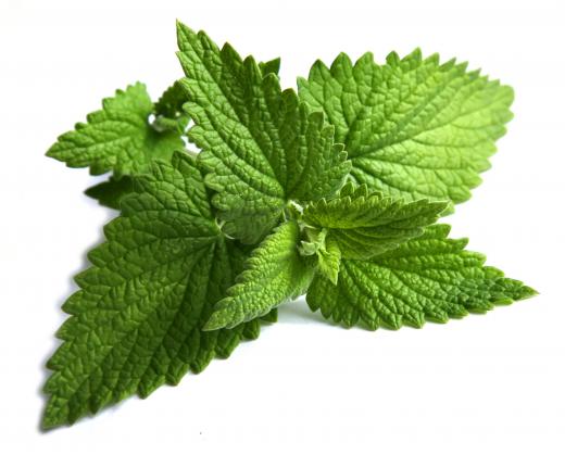 Mint leaves.