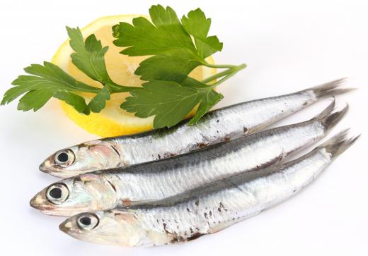 Anchovies are crushed into a paste to use in anchovy pasta.