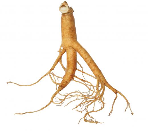 Ginseng root has been linked to maintaining an erection for an extended time period.