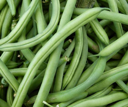 Green beans are mixed with condensed soup and baked to make green bean casserole.