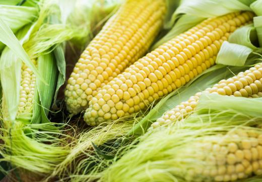 Corn is a common food commodity that is tradied on option.