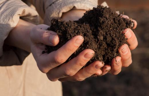 In square foot gardening, boxes are filled with potting soil.