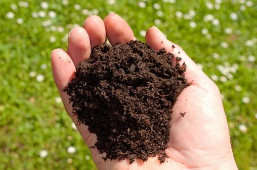 There are classifications for the various types of soil.