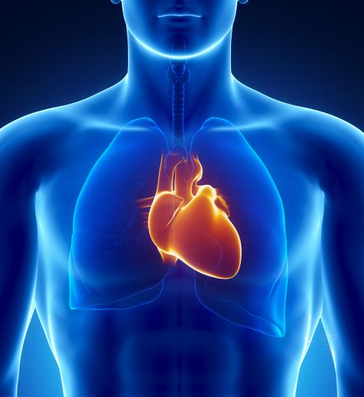 The hindbrain is responsible for making a person's heart beat without him or he making it do so.