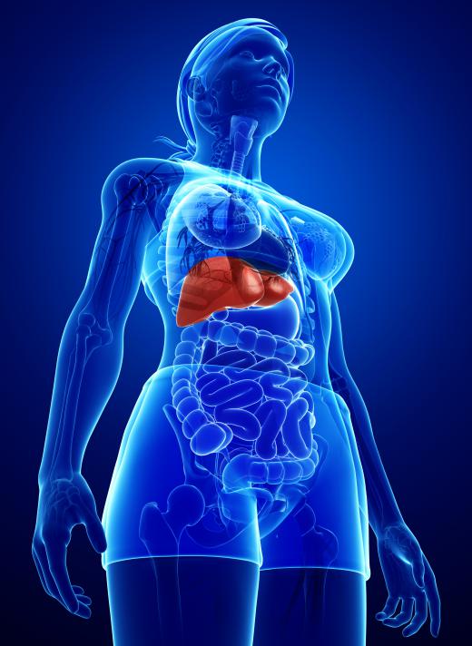 Most drug metabolism takes place in the liver.