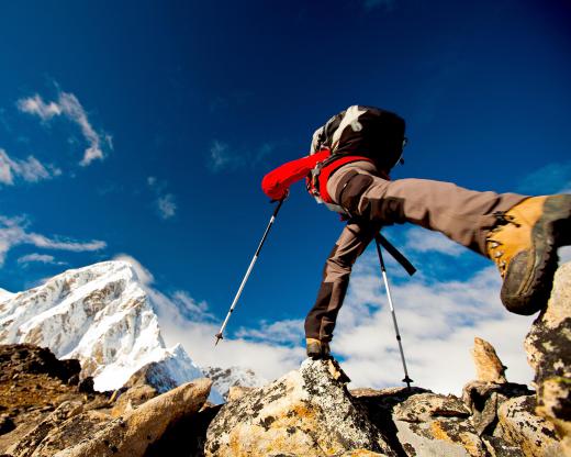 Trekking poles help hikers reduce the strain on their joints.