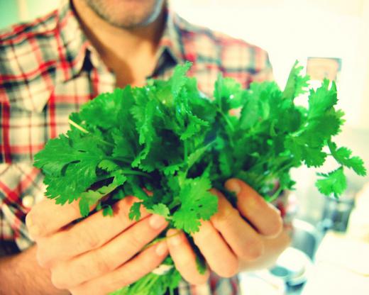 Coriander is often used to flavor curry.