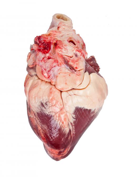 Testing blood serum can indicate risk factors for heart disease.