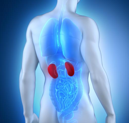 Kidney transplant recipients' kidneys no longer function at a specified level.