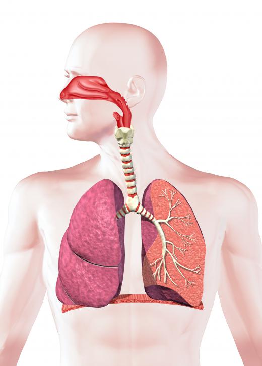 Age and other health conditions may affect the odds that a lung transplant will take.