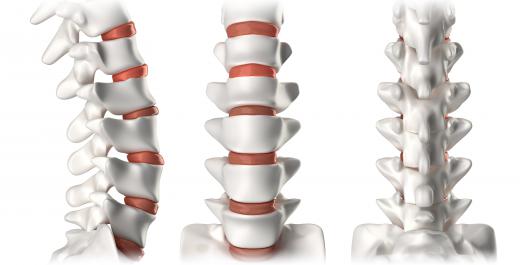 Bad sitting posture can have long-term health implications for portions of the spine.