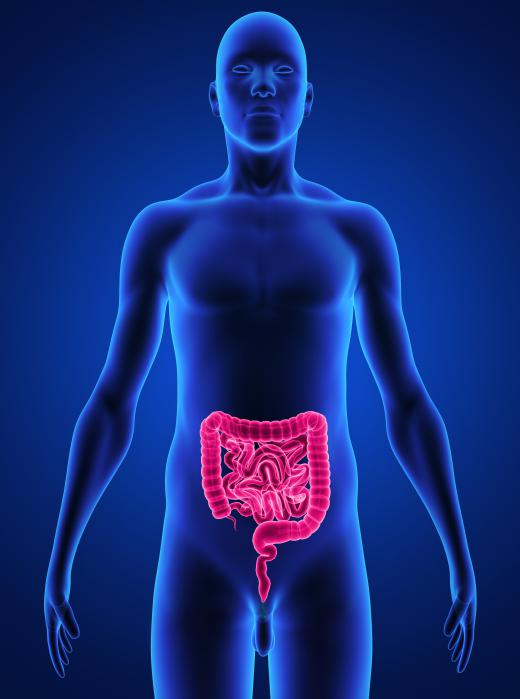 Bowel distention may occur when the intestines are functioning improperly.