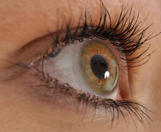 Iris recognition technology takes advantage of the fact that no two irises are alike.