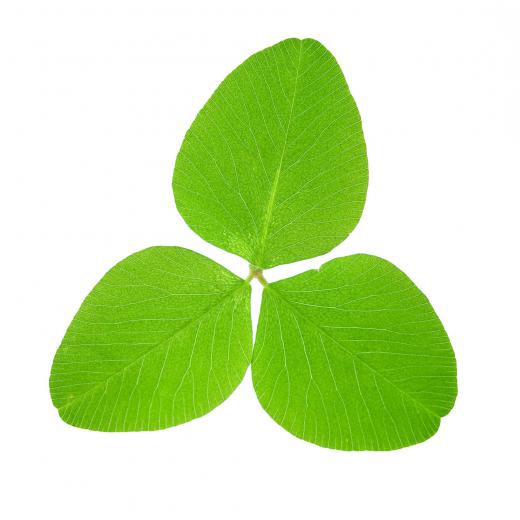 The Irish clover leaf is a trefoil.