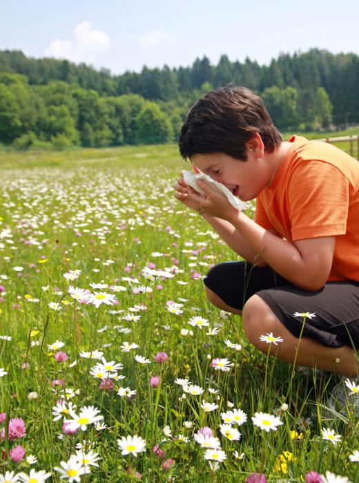 Nasal strips can be used to help relieve congestion and sneezing caused by allergies.