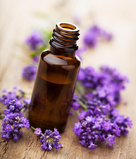 Lavender oil is used in aromatherapy for its soothing and calming properties.