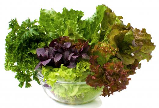 Salad greens, including parsley.