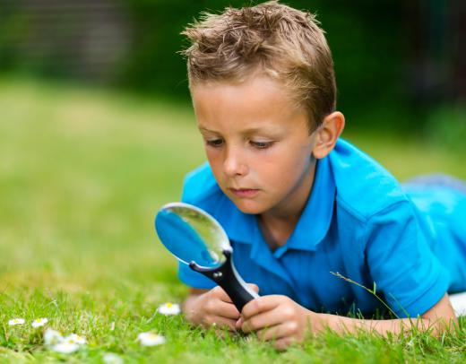 Fostering curiosity at any age is a good way to improve science process skills.