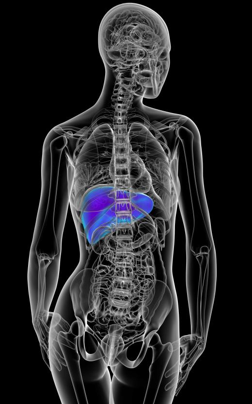 Malnutrition is a common cause of chronic liver failure.