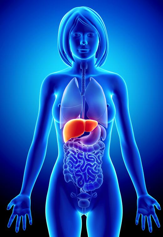 Repairing liver function is essential in treatment for alcohol myopathy.