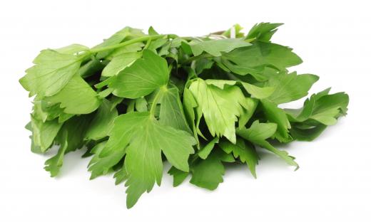 Use of lovage can induce phototoxicity.