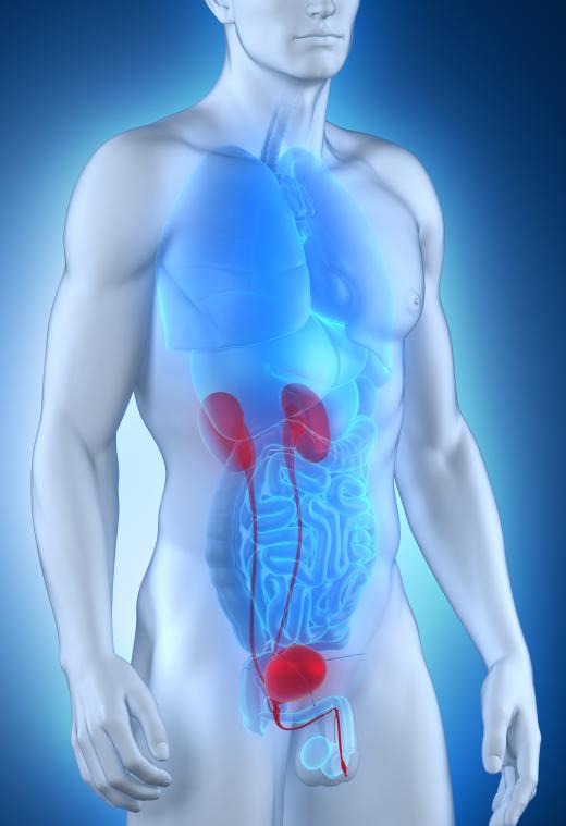 Alstom Syndrome will impair a patient's kidney function.