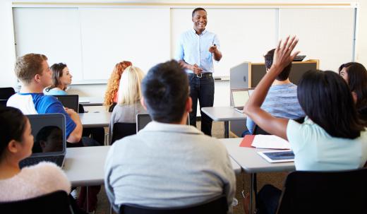 University science professors often spend significant time teaching.