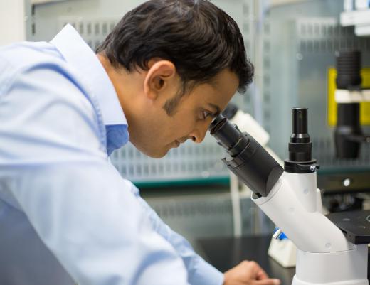 Some histotechnologists perform basic microscopy to identify areas of interest for examination by a pathologist.