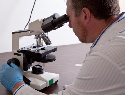 Accredited labs are used to test for asbestos.