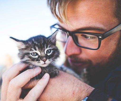 A recent study found that, unlike dogs, cats have no qualms about accepting treats from their owners' "enemies."