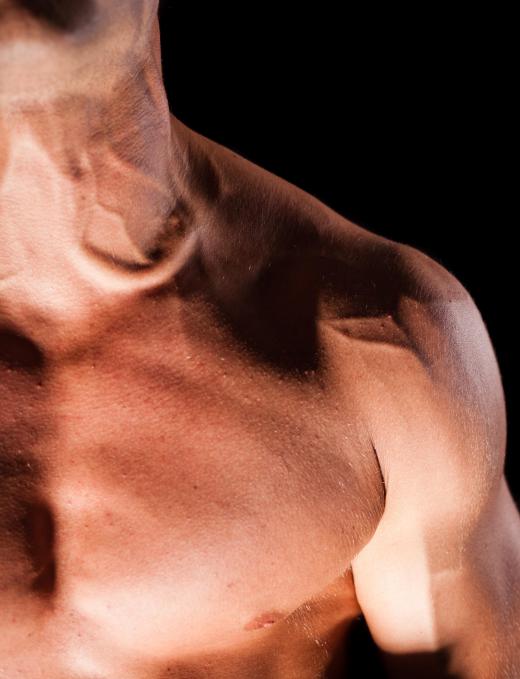 Trapezius muscles can be built up by shrugging weights.