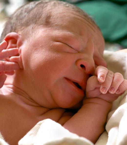 A newborn's umbilical cords contain stem cells that might be used to treat blood diseases or immune system disorders.