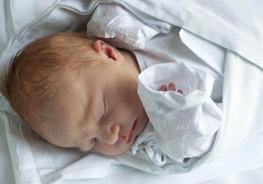 Immunoglobulin G1 is helps form the temporary immune system of a newborn.