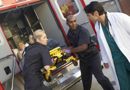 Paramedics often provide support to emergency medicine physicians.