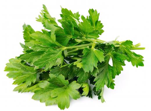 Parsley is often used to season brudet.