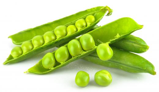 Any small green peas can be labeled petits pois.