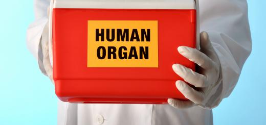 Many researchers believe that by using stem cells, entire organs can eventually be regenerated.