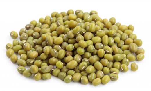 Mung beans, which are used to make glass noodles.