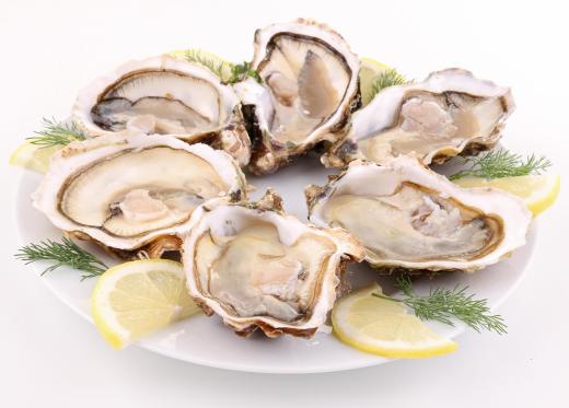 A plate of oysters on the half shell.