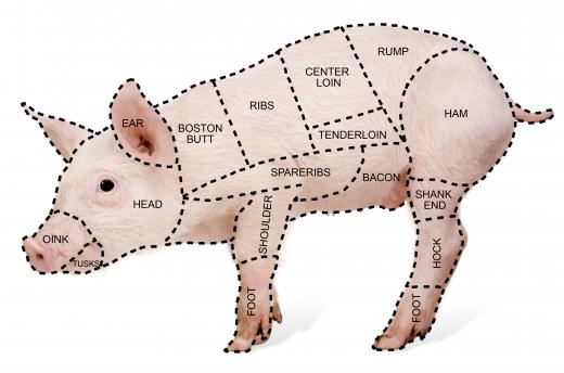 Different cuts of pork.