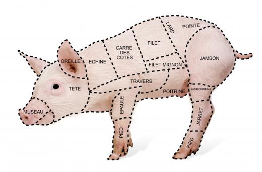 Cuts of pork taken from different areas of a pig will have varying degrees of fattiness and may be suited for specific cooking styles.