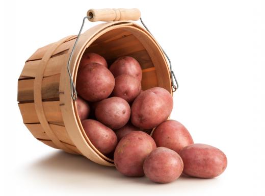 Red potatoes are usually mashed with the skins on.