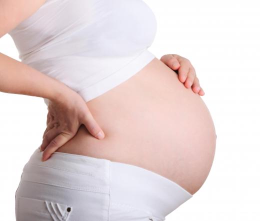 A pregnant woman's uterus and placenta are considered part of the endocrine system.