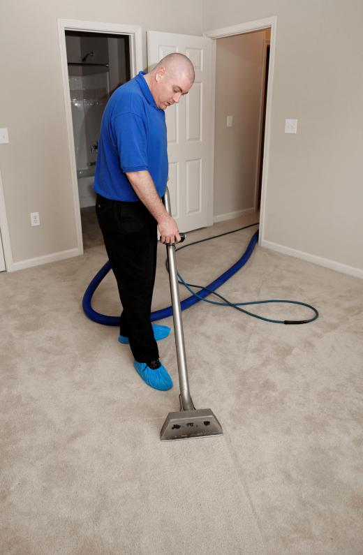 A person cleaning a carpet to remove odors.