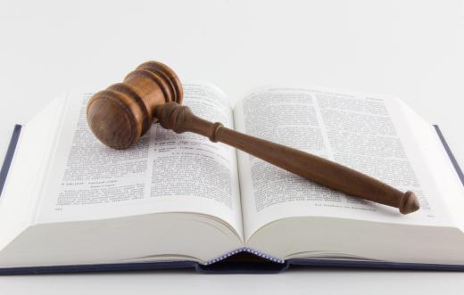 Judicial opinions and decisions make up federal case law.