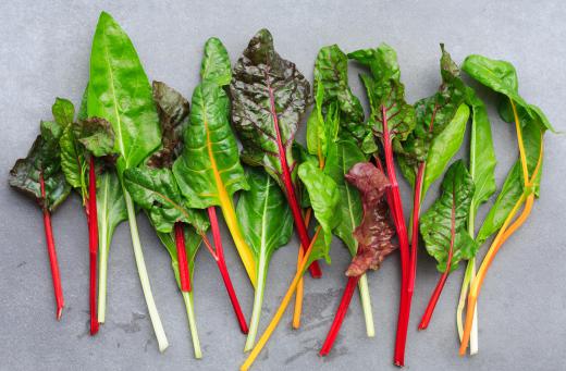 Chard should look crisp, moist and healthy for use in soup.