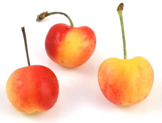 Fruits from trees, including cherries, are included in the Bible diet.