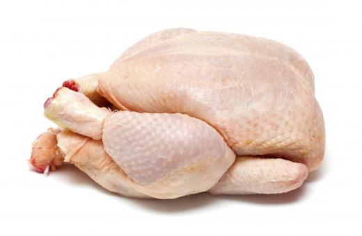 A chicken before being rotisseried.